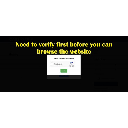 Google CAPTCHA verify first before browsing