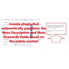 Auto Meta Article SEO