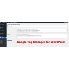 Google Tag Manager - WP Plugin