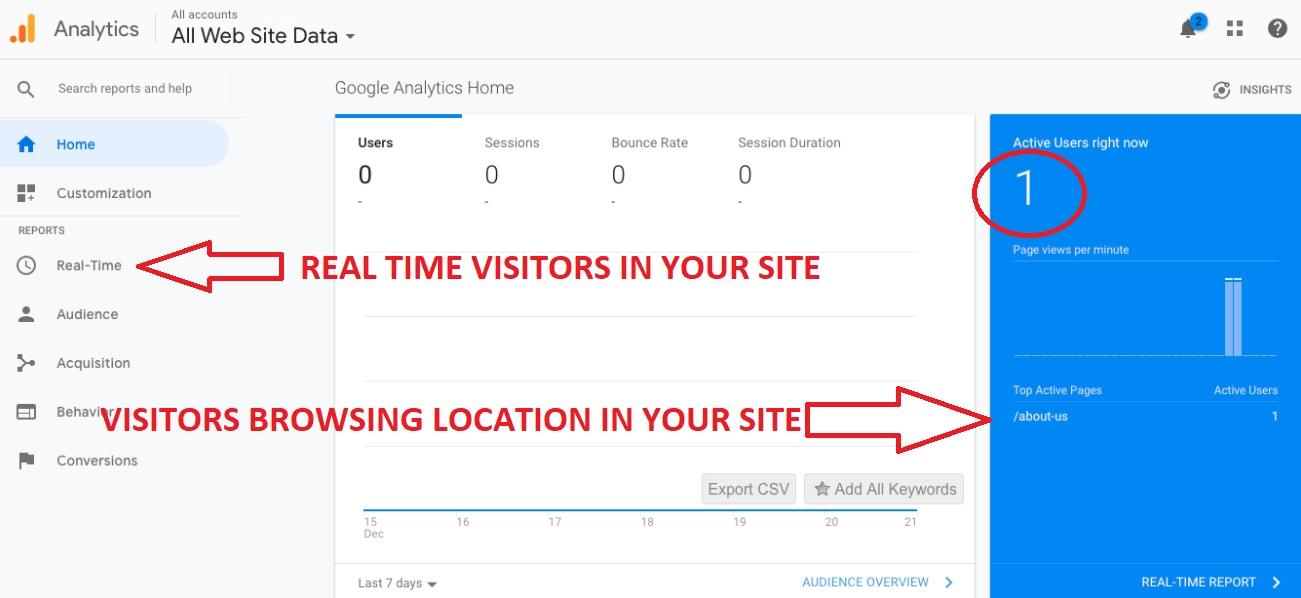 google analytics view